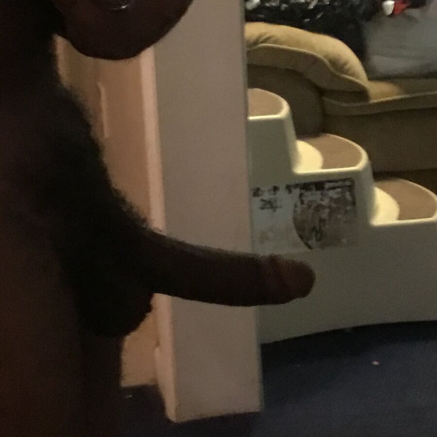 7 inches long x 5 inches round