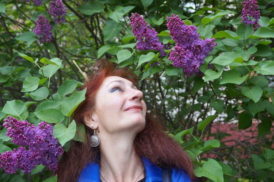 In the purple lilac