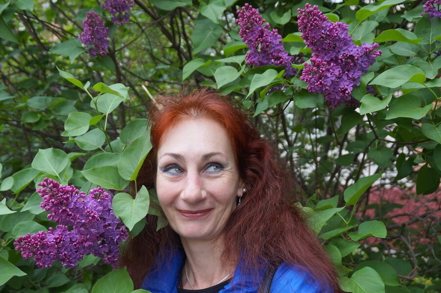 In the purple lilac