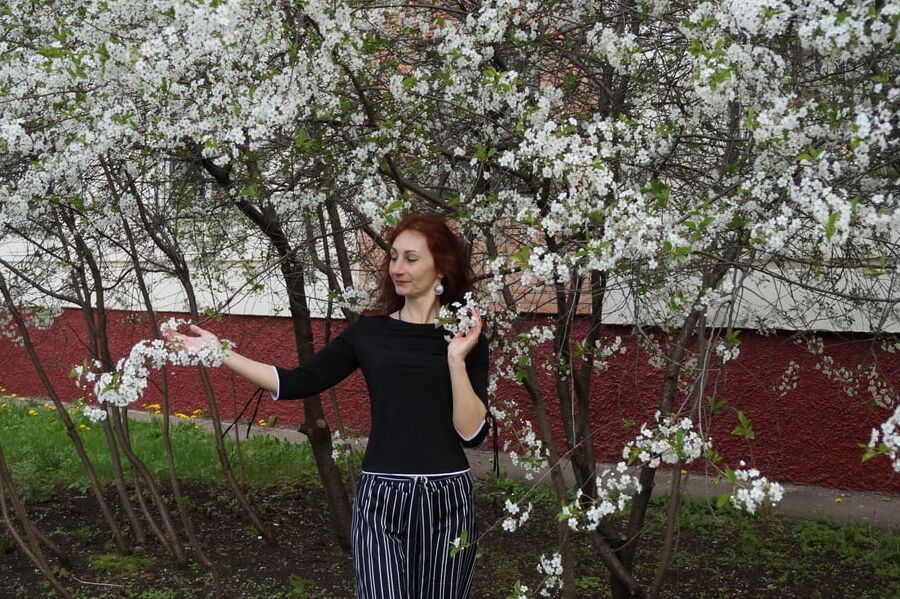 In white cherry-flowers