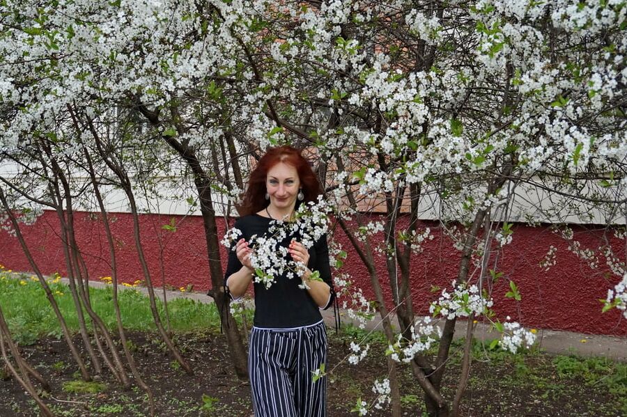 In white cherry-flowers