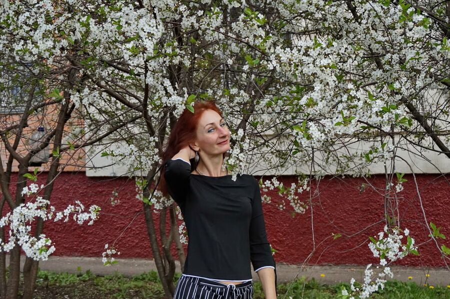 In white cherry-flowers