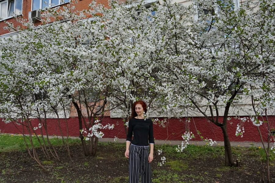 In white cherry-flowers
