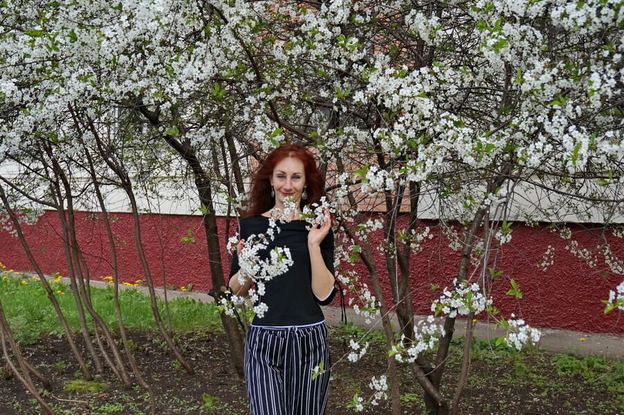In white cherry-flowers