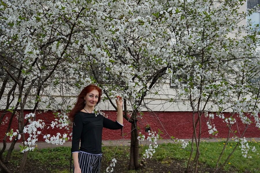 In white cherry-flowers