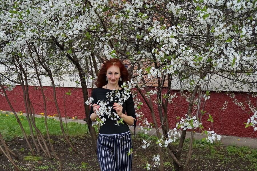 In white cherry-flowers