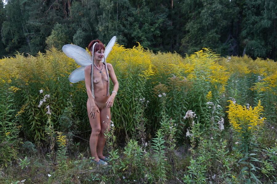 Little Elf near Yellow Flowers