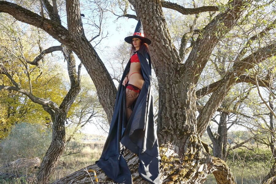 Witch on the Tree