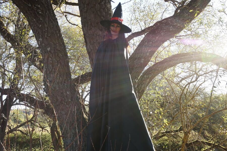 Witch on the Tree