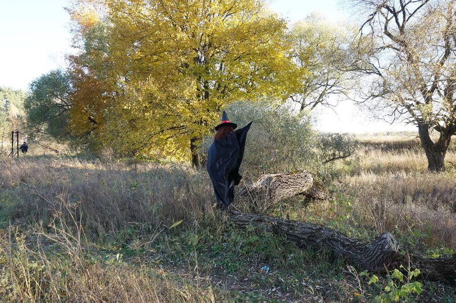 Witch on the Tree