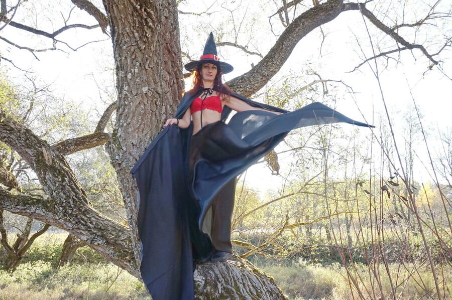 Witch on the Tree