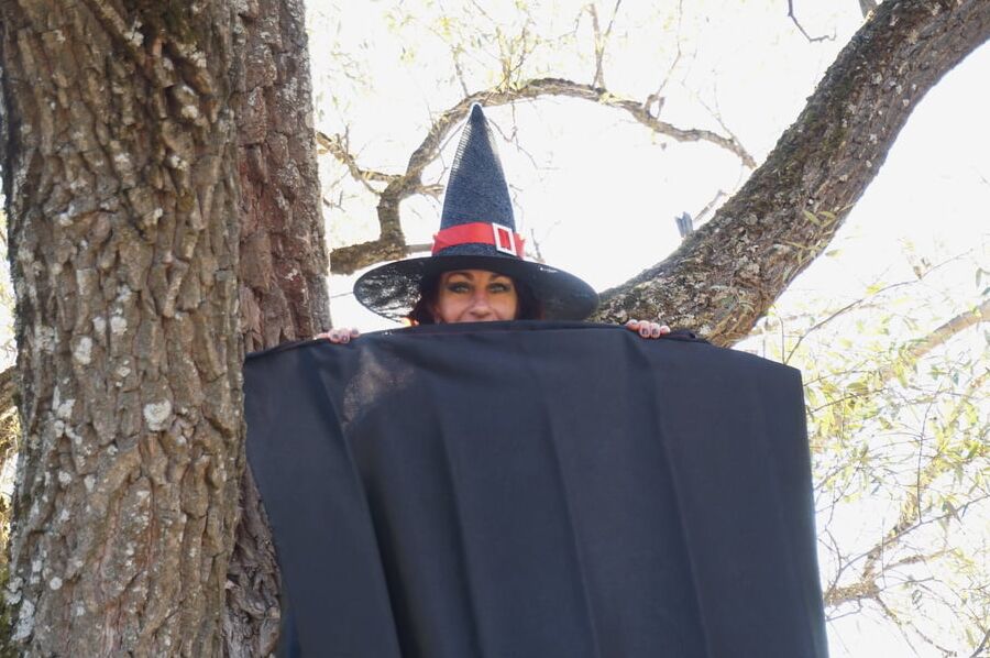 Witch on the Tree