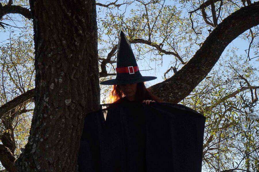 Witch on the Tree