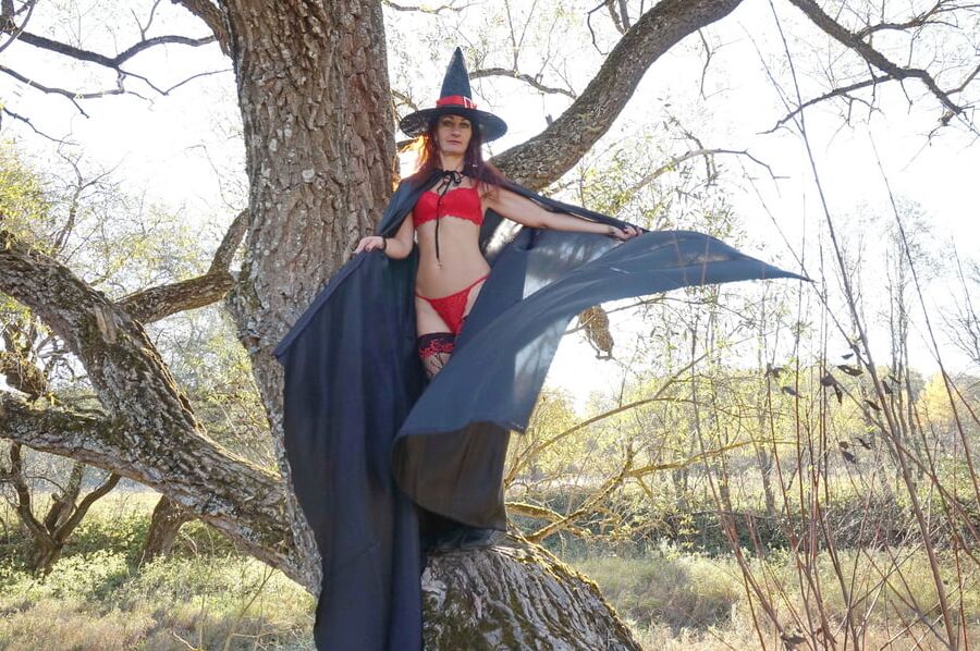 Witch on the Tree