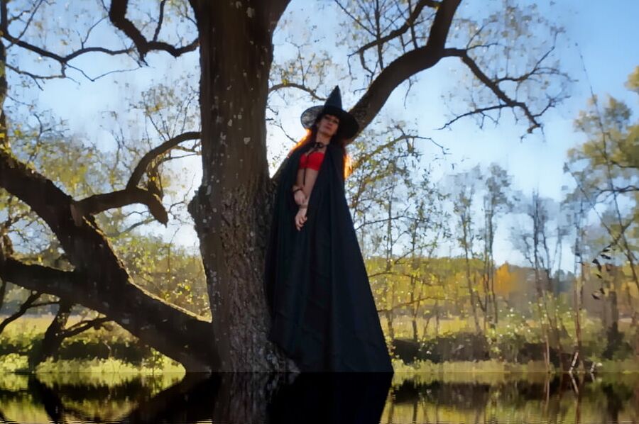 Witch on the Tree