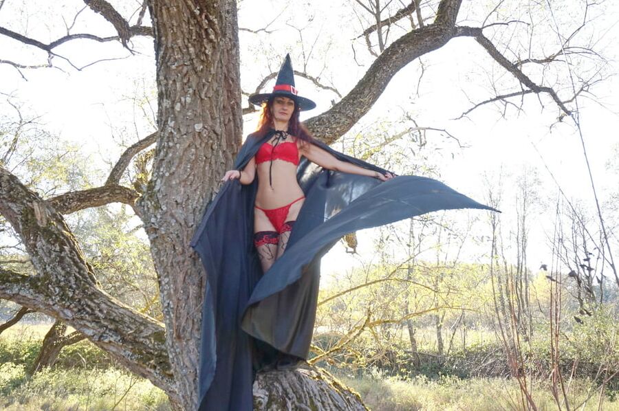 Witch on the Tree