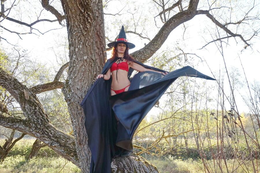 Witch on the Tree