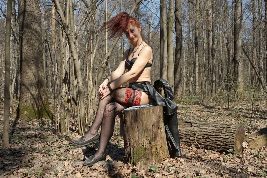In Spring Forest on the Stomp