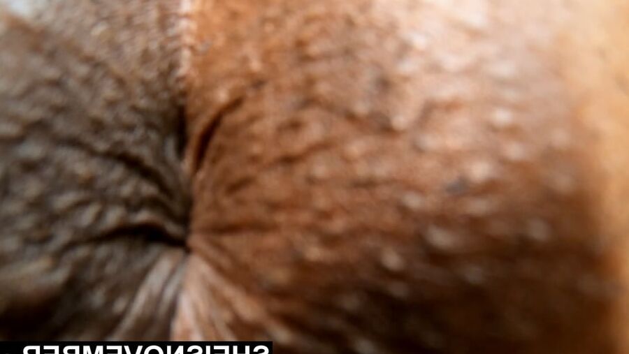 Black Sphincter  Ass Hole Butthole Ebony Bootyhole Closeup