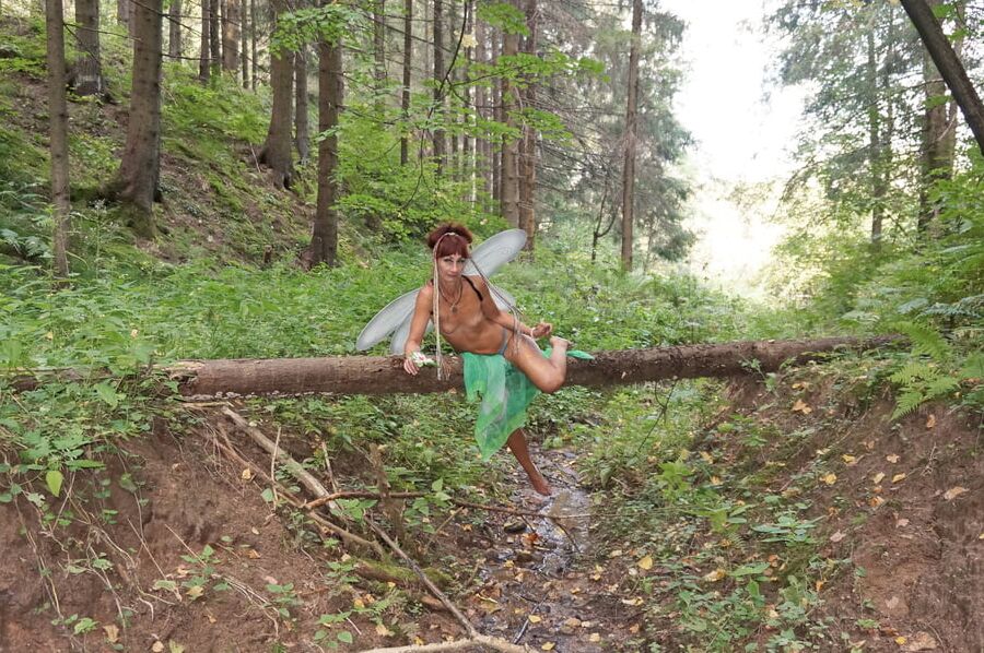 Elf on the log