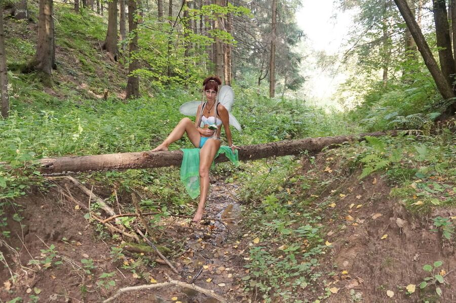 Elf on the log