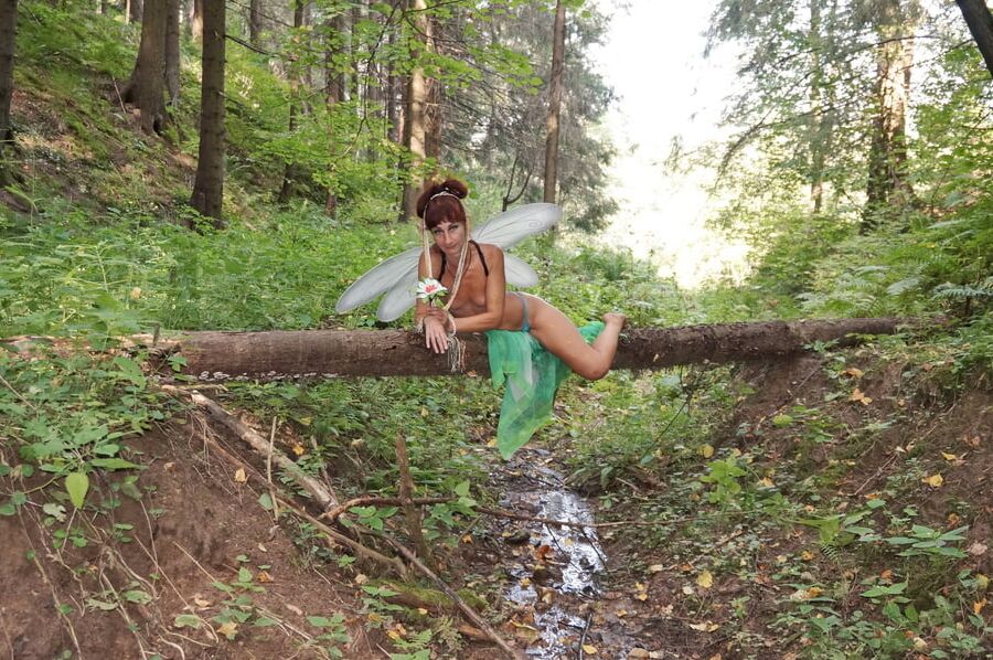 Elf on the log