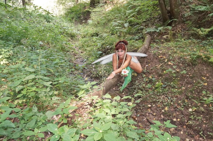 Elf on the log
