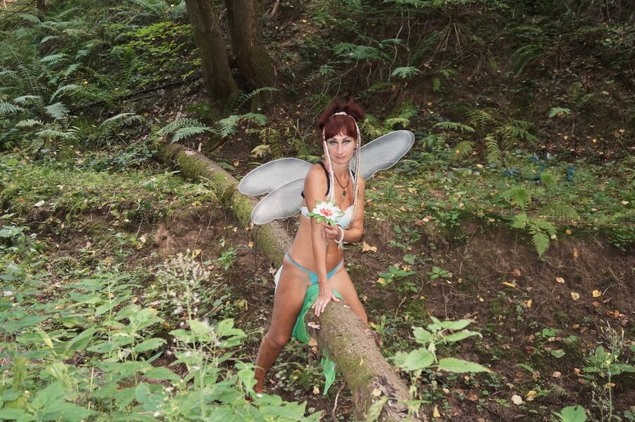 Elf on the log