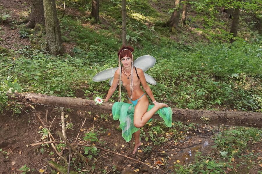 Elf on the log