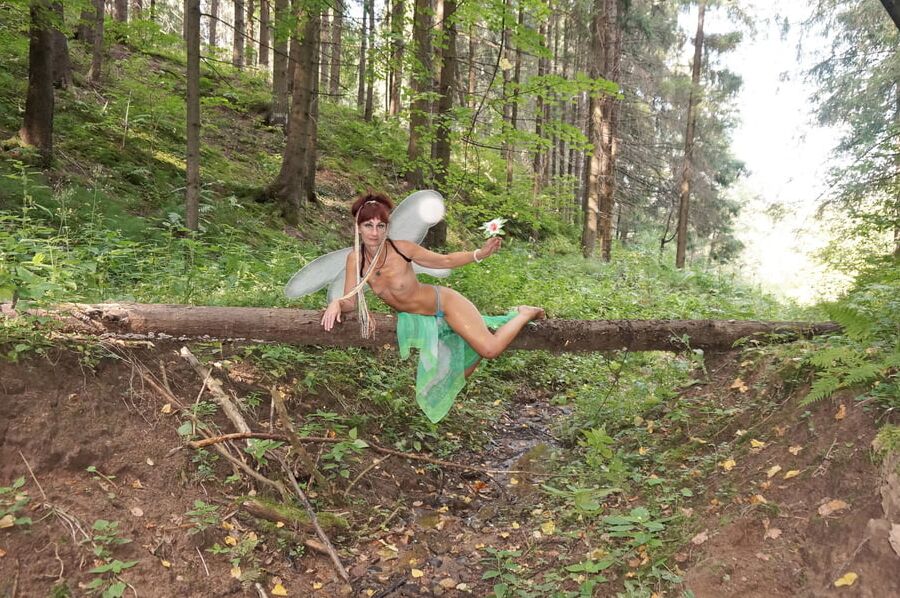 Elf on the log