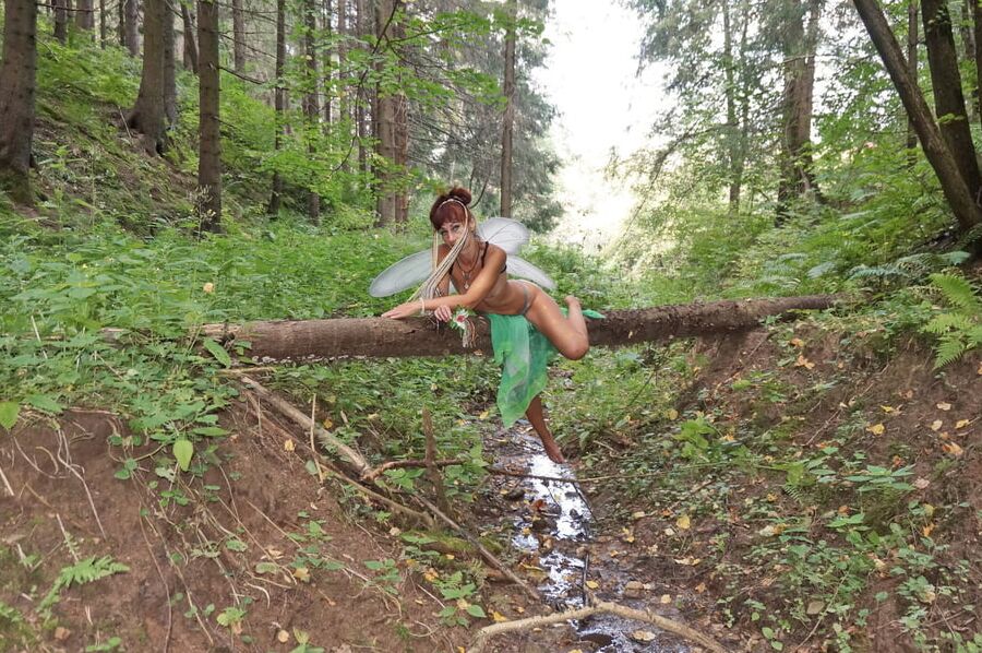 Elf on the log