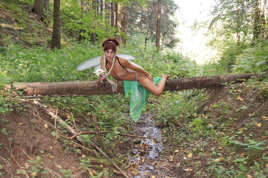 Elf on the log