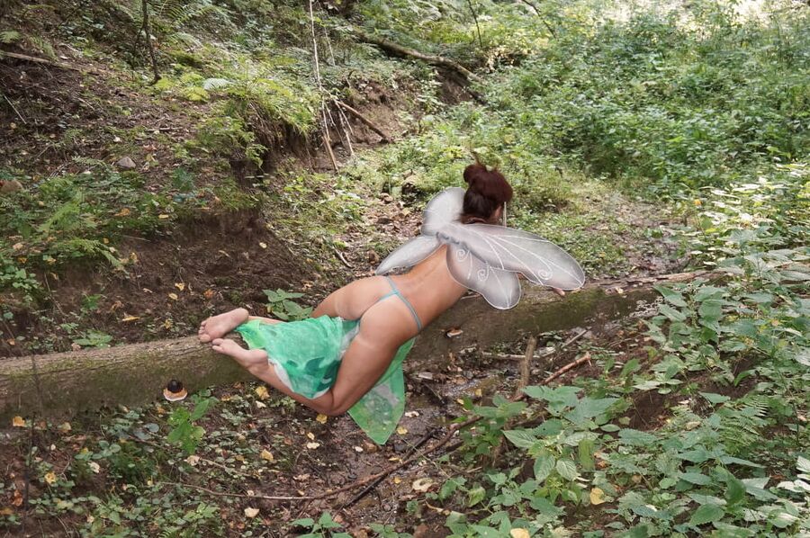 Elf on the log