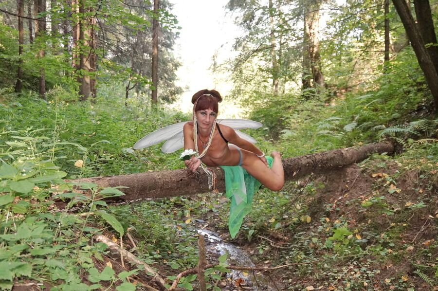 Elf on the log