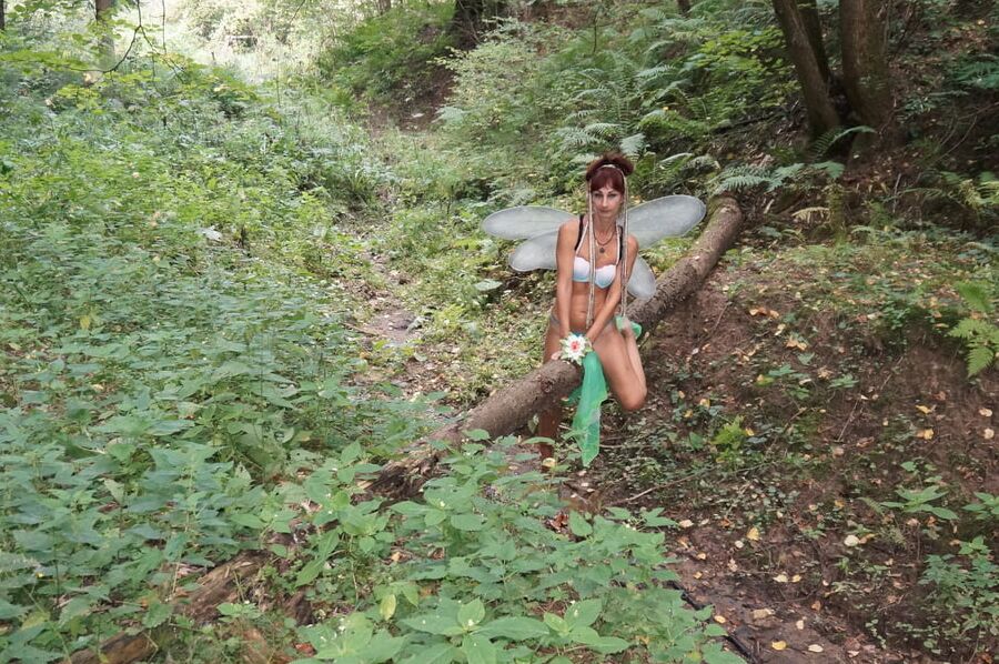 Elf on the log