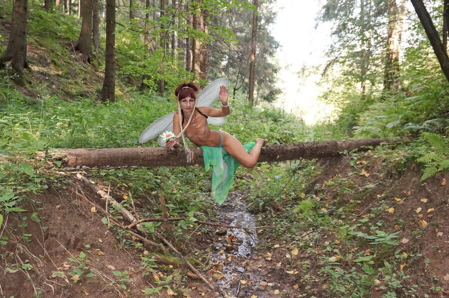 Elf on the log