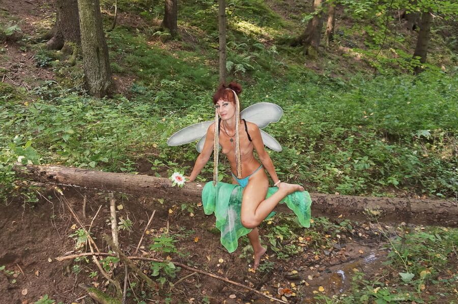 Elf on the log