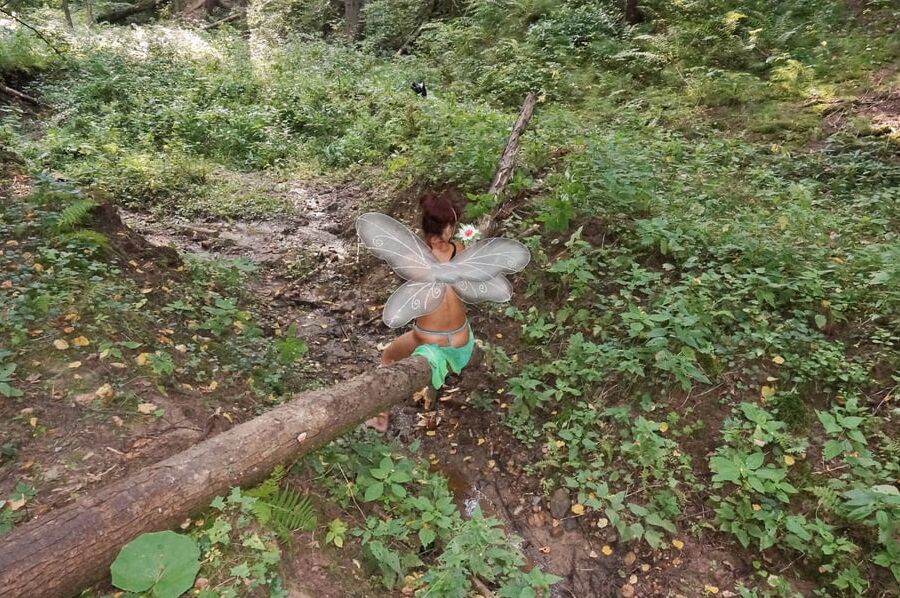 Elf on the log
