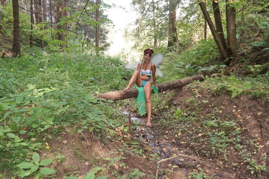 Elf on the log