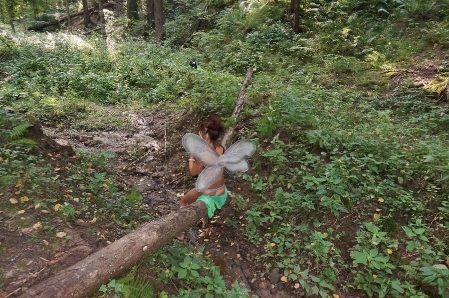 Elf on the log