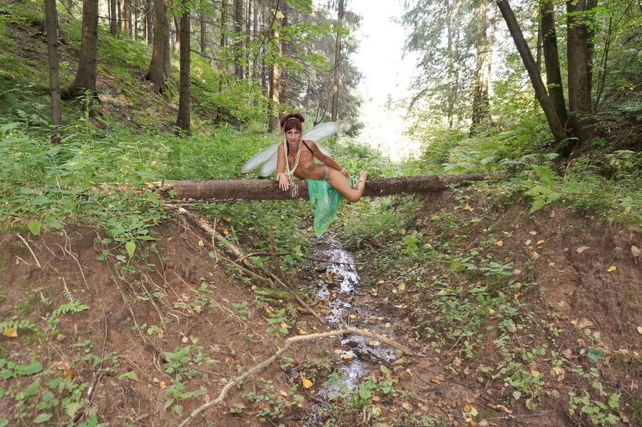 Elf on the log