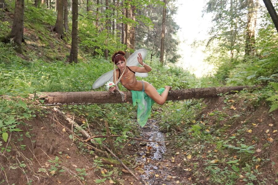 Elf on the log