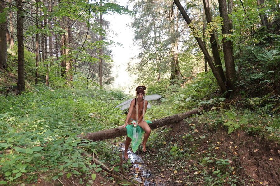 Elf on the log