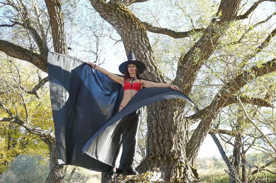 Black Wings of Witch