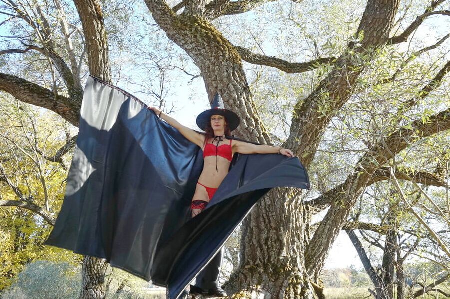 Black Wings of Witch