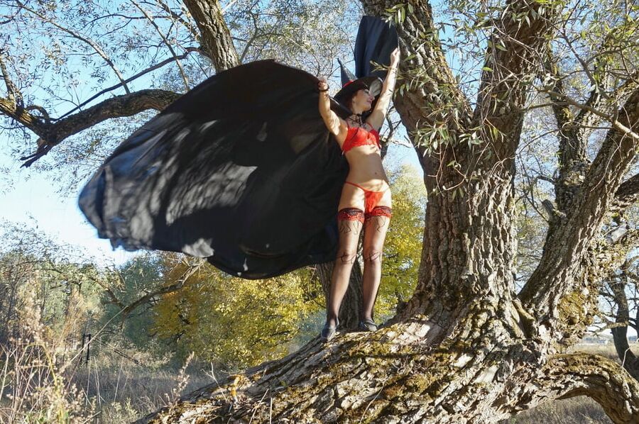 Black Wings of Witch