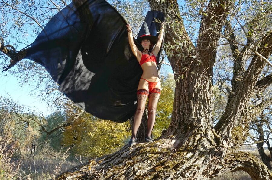 Black Wings of Witch