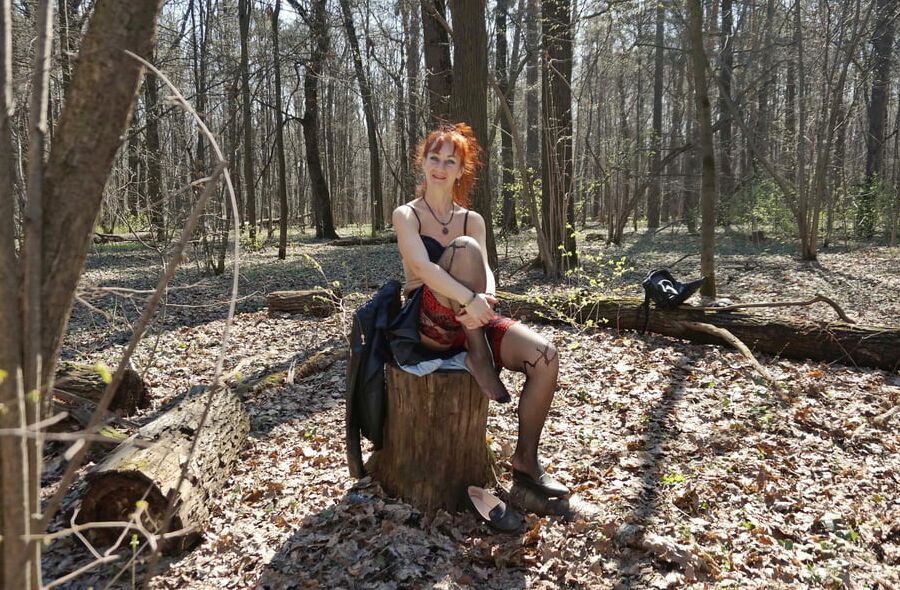 In Spring Forest on the Stomp 2