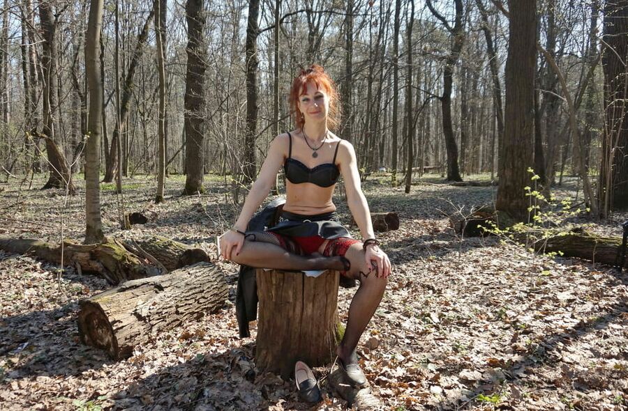 In Spring Forest on the Stomp 2