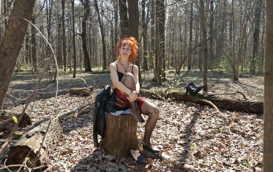 In Spring Forest on the Stomp 2